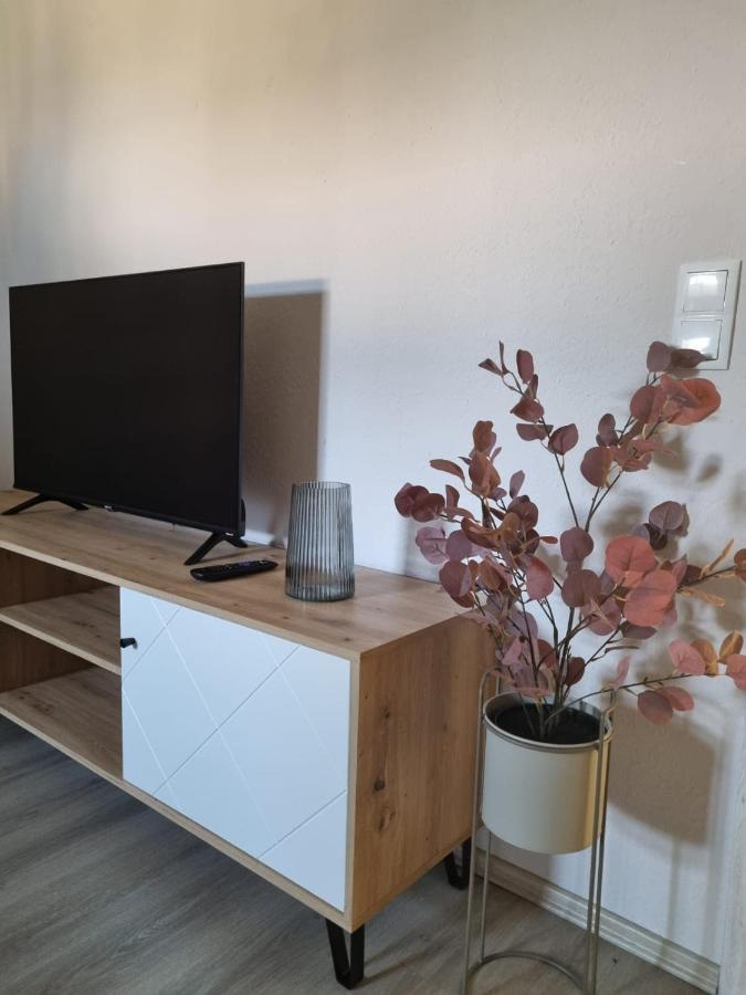 Modern Eingerichtet-Stadtnah-Ferienwohnung Mit Geschirrspueler Und Waschmaschine Friedland  Exterior foto